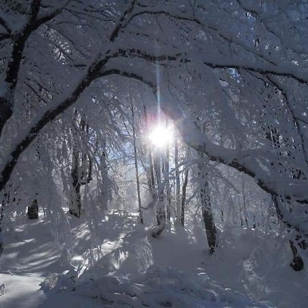Vila Vesela Kuca Stara Planina Jalovik Izvor Exterior foto