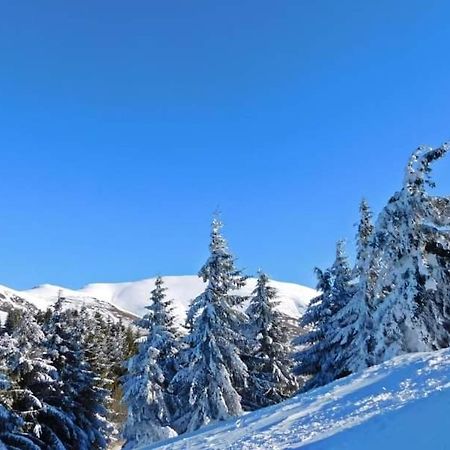 Vila Vesela Kuca Stara Planina Jalovik Izvor Exterior foto