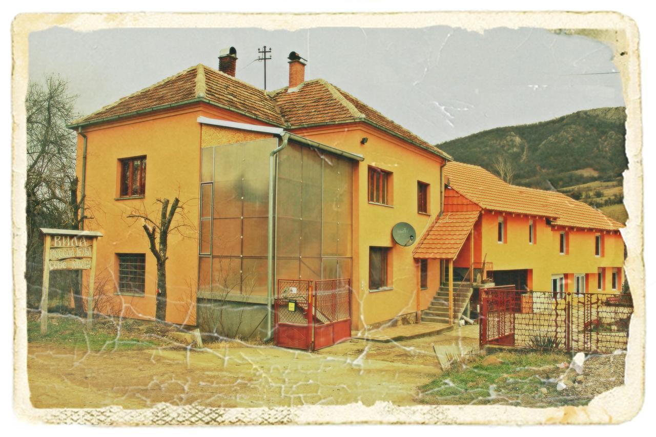 Vila Vesela Kuca Stara Planina Jalovik Izvor Exterior foto